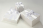 Preview: Die Accessoires-Boxen Pearly Croco sind auf die Brautkleidboxen abgestimmt.