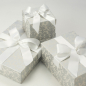 Preview: Die Accessoires-Boxen Tapestry Silver eignen sich perfekt zum Verstauen Ihrer Hochzeitsaccessoires.